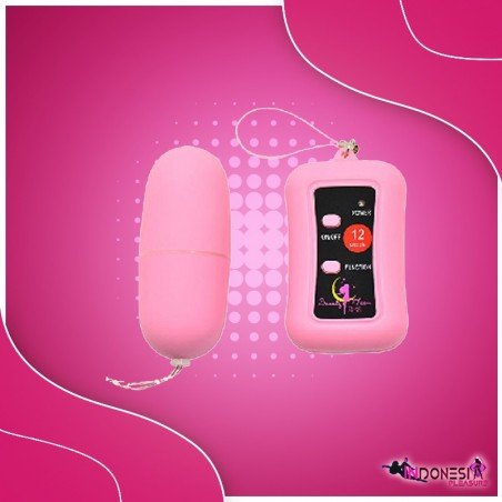 Remote Control Vibrating Egg