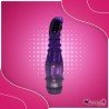 Hot Vibe Fun Vibrator