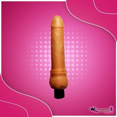 Mr. Dong Realistic Vibrator